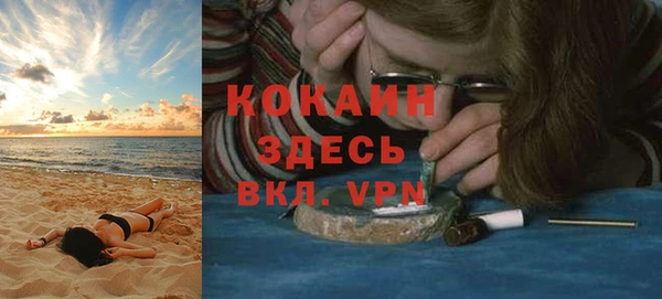 шишки Белокуриха