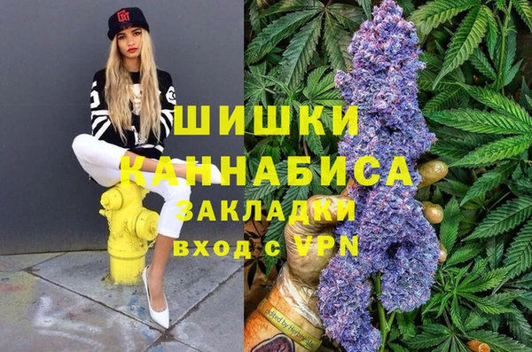 шишки Белокуриха