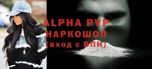 шишки Белокуриха