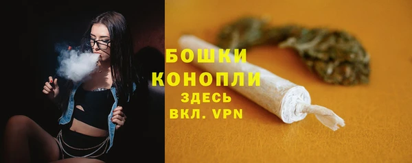 гашик Беломорск