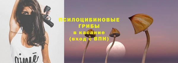 шишки Белокуриха