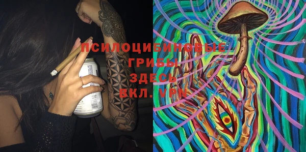 дмт Балахна
