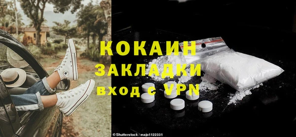 шишки Белокуриха
